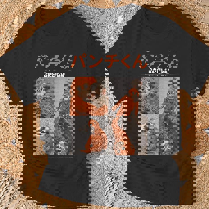 パンチくん写真 廃マカク 日本猿パンチ Tシャツ 高齢者への贈り物