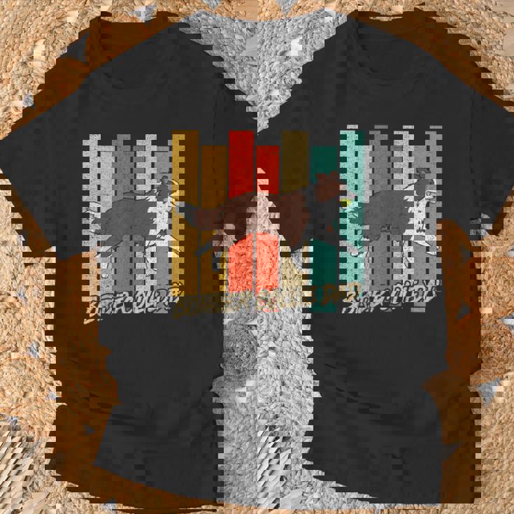 ビンテージ レッドボーダーコリー 犬 お父さん 犬 飼い主 父の日 Tシャツ 高齢者への贈り物