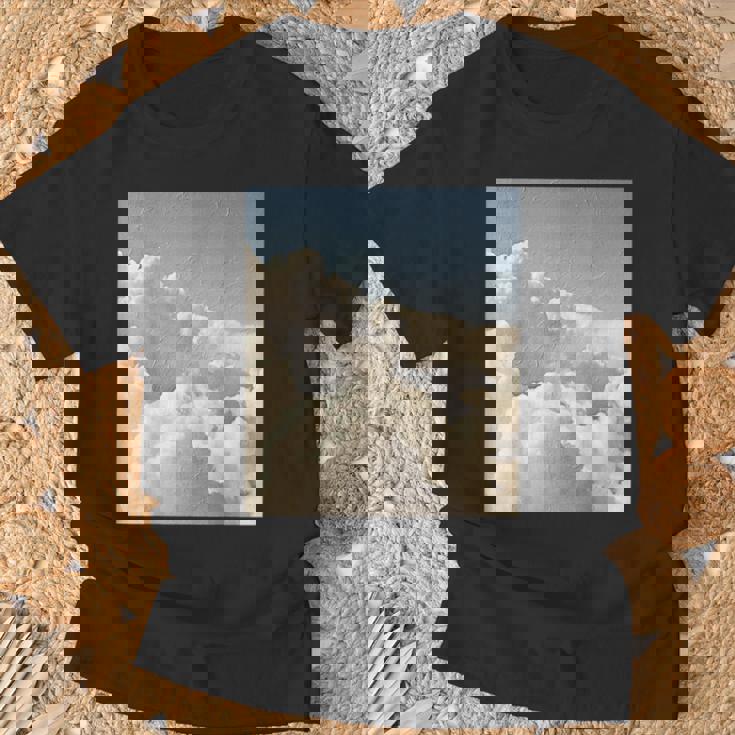 ビンテージクラウドエステティックドリームコア Tシャツ 高齢者への贈り物