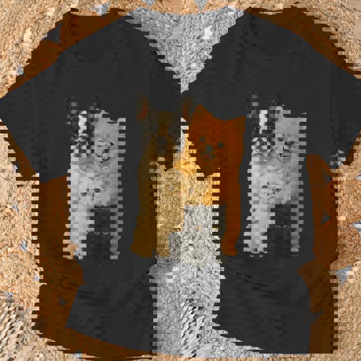 フレンチブルドッグ ポメラニアン エキゾチック ショートヘア マンチキン 猫 Tシャツ 高齢者への贈り物