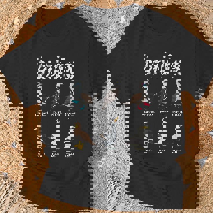 ブービーバード面白いカツオドリ Tシャツ 高齢者への贈り物