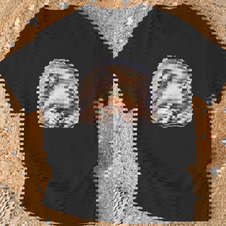 ポメラニアン × ポメラニアン 犬 寝ている Tシャツ 高齢者への贈り物