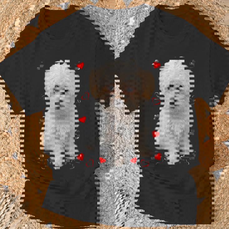 マルチーズ 犬 オーナー ラバー デザイン 子犬 ハート デザイン Tシャツ 高齢者への贈り物