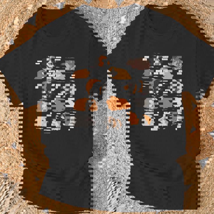 モルモット犬種シャツ Tシャツ 高齢者への贈り物