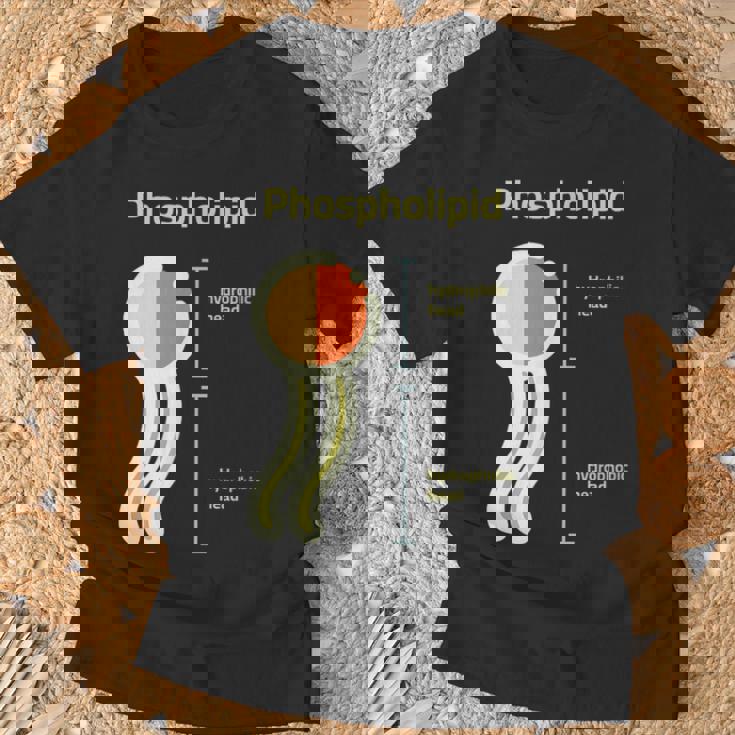 リン脂質 Tシャツ 高齢者への贈り物