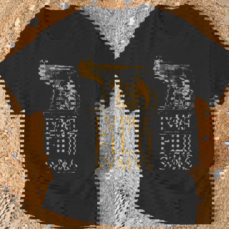 ローマの狼 古代ローマ ローマ帝国の名言 Tシャツ 高齢者への贈り物