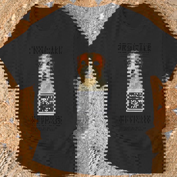 個人ストーカー 犬 ジャック・ラッセル・テリア I Will Follow You Tシャツ 高齢者への贈り物