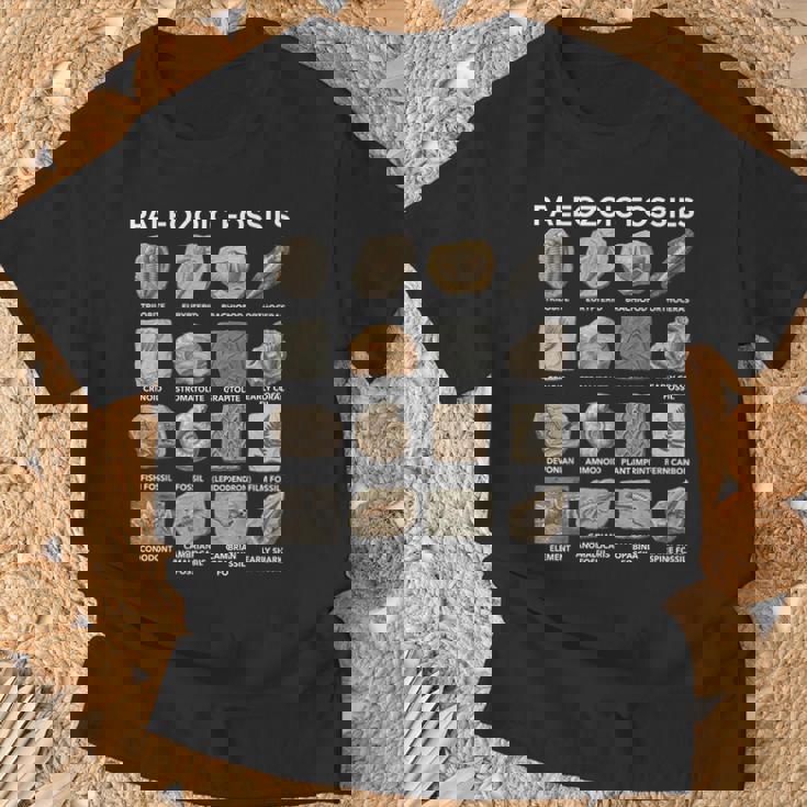 古生代化石チャート古生物学科学愛好家 Tシャツ 高齢者への贈り物