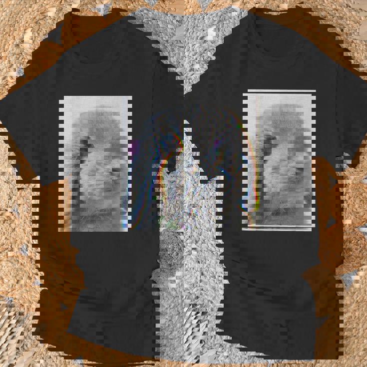 垂れ耳うさぎのレトロ写真 Tシャツ 高齢者への贈り物