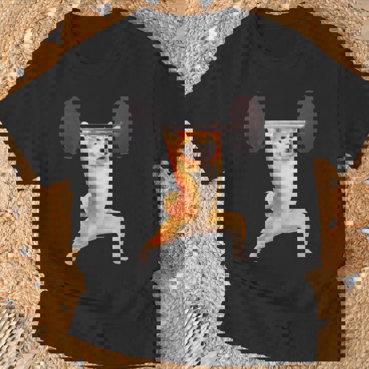 柴犬 イヌ 面白いtシャツ 犬 筋トレ 文字入り メンズ おもしろ 面白い 服 おもしろグッズ 文字tシャツ ネタ 長袖tシャツ Tシャツ 高齢者への贈り物