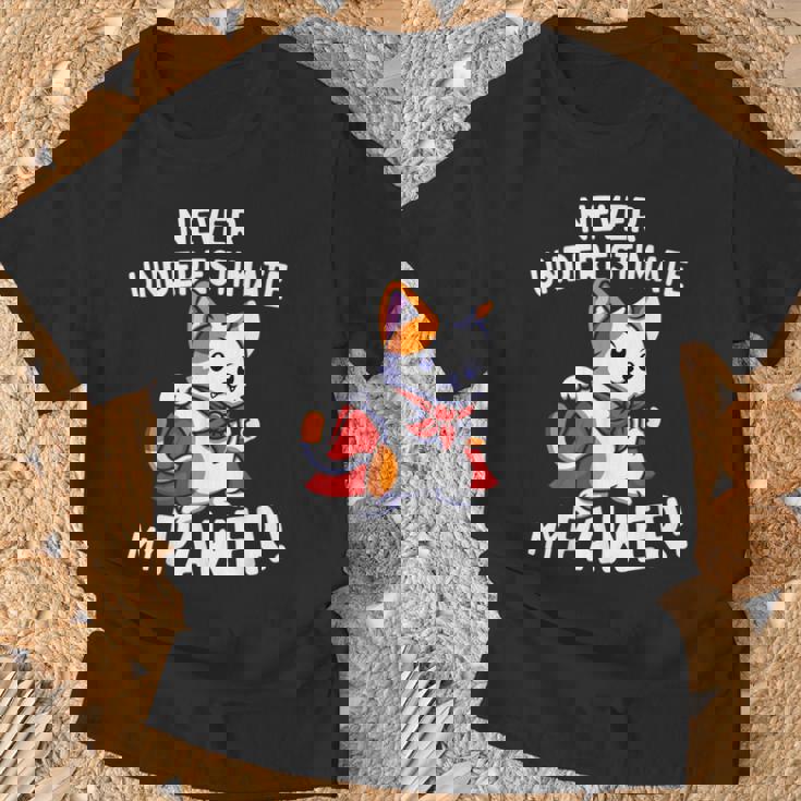 猫に言わせると、Don't Underestimate My Pawer Pun Cat（私の肉球を甘く見ないで）。 Tシャツ 高齢者への贈り物