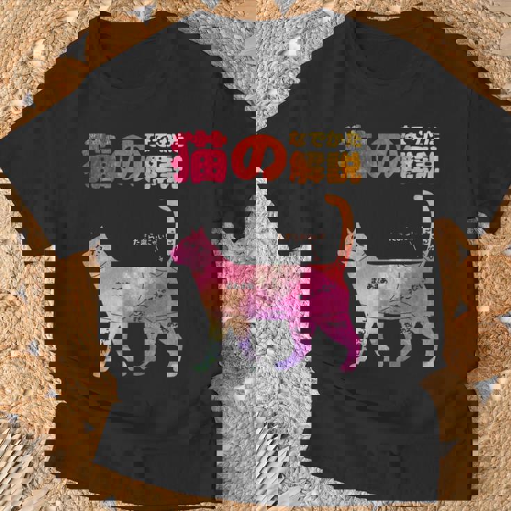 猫のなでかた解説 おもしろ 猫好き アイデア ギフト サプライズ にゃんこ 半袖 ペット プリント Tシャツ 高齢者への贈り物