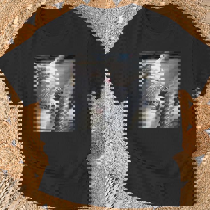 猫のミームtシャツを運転します Tシャツ 高齢者への贈り物