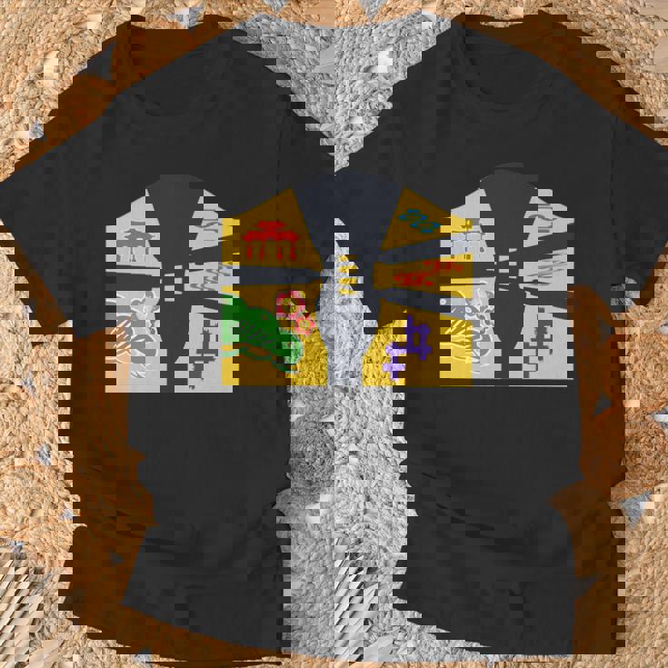 琉球備形沖縄沖縄内南朱型 三線 長袖tシャツ Tシャツ 高齢者への贈り物