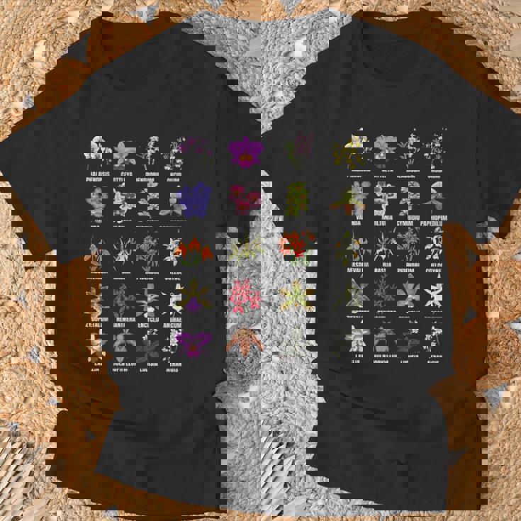 蘭の花の種類植物チャートガイド Tシャツ 高齢者への贈り物