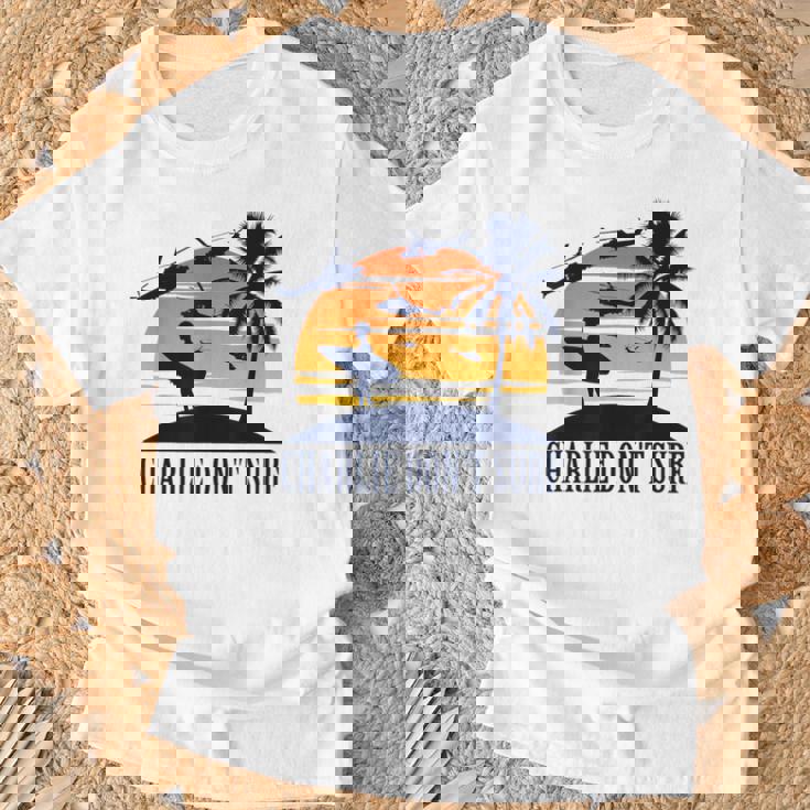 Charlie Don'turf ファニービーチアパレル Tシャツ 高齢者への贈り物