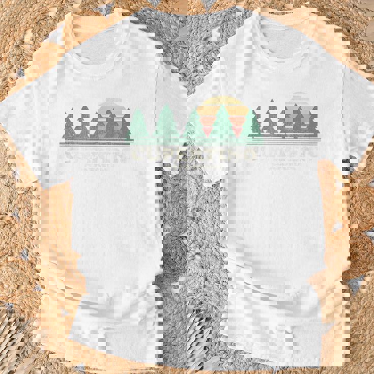 Cupertino Ca ヴィンテージ スローバック レトロ 70年代デザイン Tシャツ 高齢者への贈り物