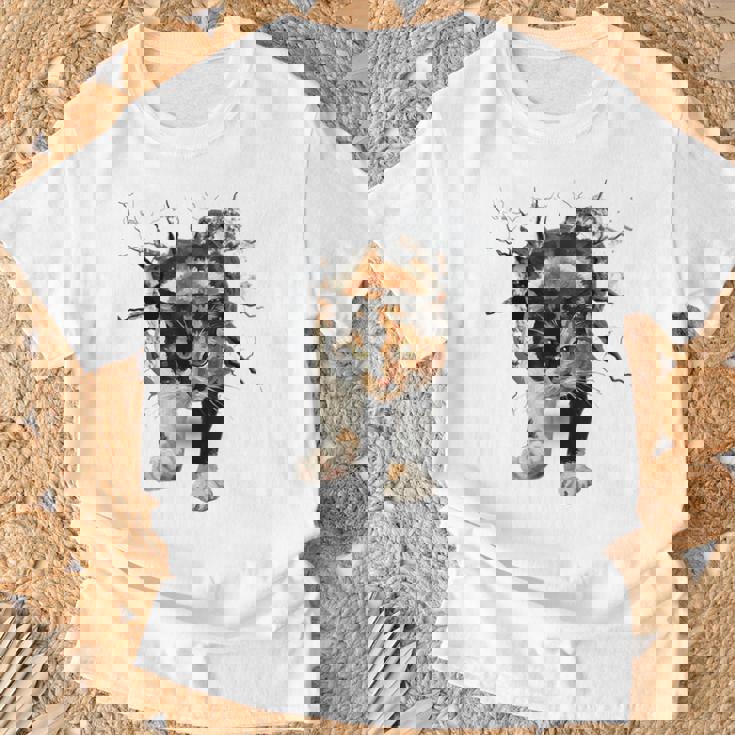 その壁を打ち破れ 三毛猫 福猫 面白 Tシャツ 高齢者への贈り物