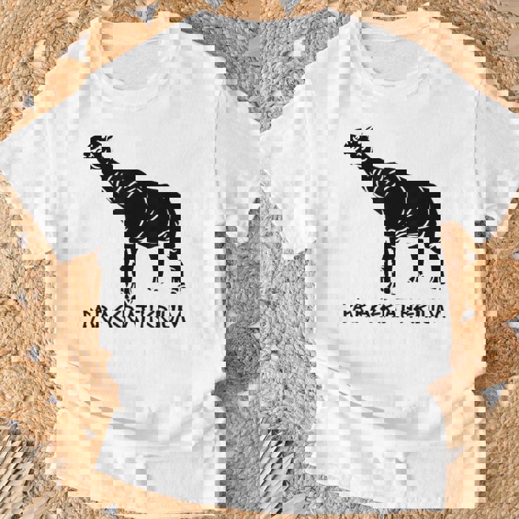 パラケラテリウム 絶滅動物 サイ 古生物学 Tシャツ 高齢者への贈り物