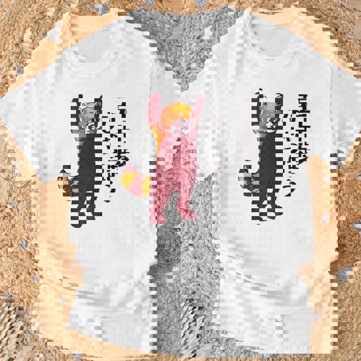 レッサーパンダ イラスト 五十歩ひゃっほう ごじっぽひゃっぽ おもしろ かわいい Tシャツ 高齢者への贈り物