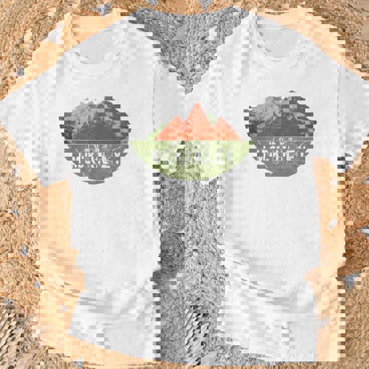 ヴィンテージ Usa マウンテンハイキング マウント・マッキンリー Tシャツ 高齢者への贈り物