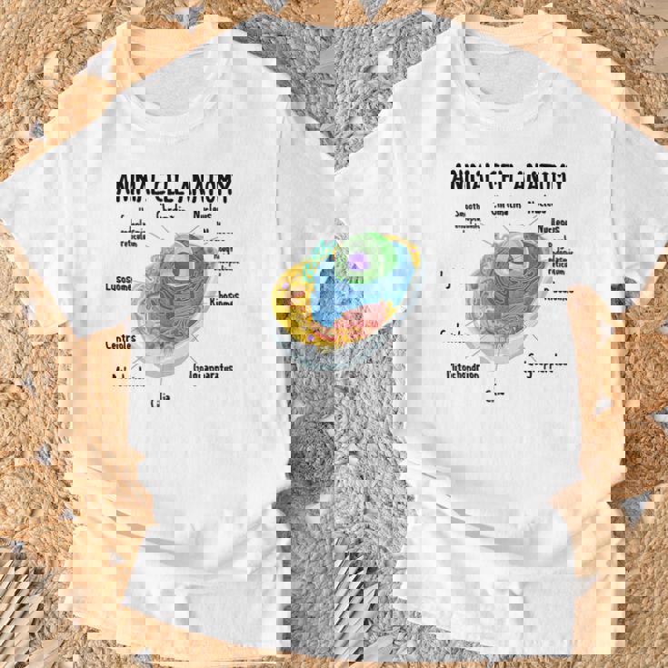 動物細胞の解剖学 生物学者 理科学生 Tシャツ 高齢者への贈り物