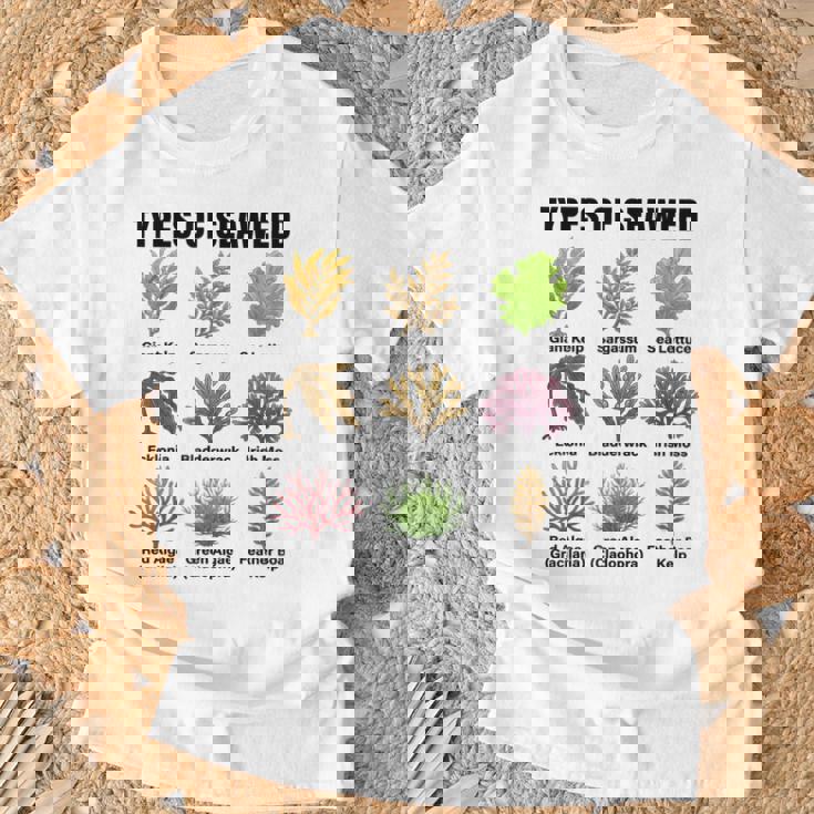 海藻の種類、海藻種チャート、海藻の種類 Tシャツ 高齢者への贈り物