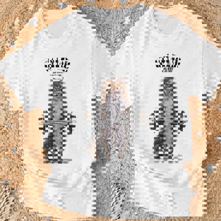 筋トレ ジム やる気がないなら家に帰れ トラ猫 ねこ Tシャツ 高齢者への贈り物