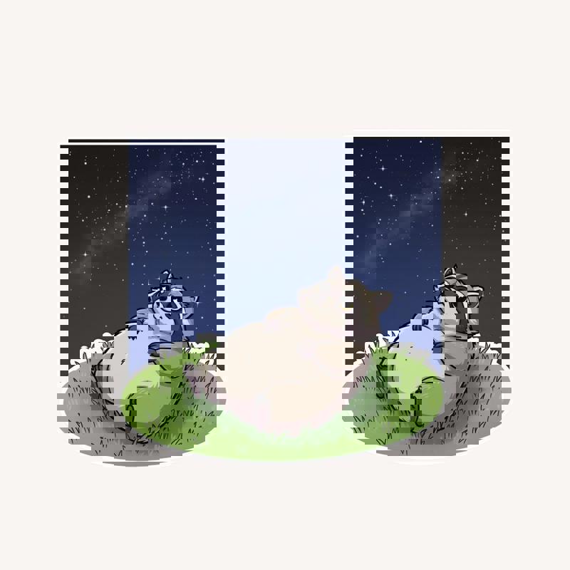 Fat Raccoon Star Gazer Sticker - Raccsy