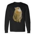 Meme Yellow Cat leep Internetiral 長袖Tシャツ ギフトのアイデア