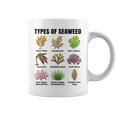 海藻の種類、海藻種チャート、海藻の種類 コーヒーマグ