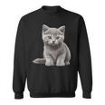 かわいいブリティッシュショートヘア 猫好きの子猫 スウェットシャツ