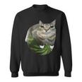 スイカ猫ミーム スウェットシャツ
