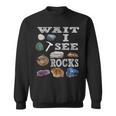 待って、Iee Rocks Rockhound Geology Rock Collection スウェットシャツ