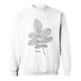ウォールナットツリーリーフヴィンテージ植物学tシャツtシャツ スウェットシャツ