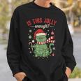 Is This Jolly Enough Cat Christmas Humor Sweatshirt Gifts for Him
