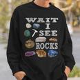 待って、Iee Rocks Rockhound Geology Rock Collection スウェットシャツ 彼への贈り物