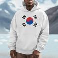 South Korea Korean National Flageoul パーカー