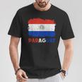Paraguayan Pride Drapeau Paraguayen Avec Racines Paraguayennesintage T-Shirt Cadeaux drôles