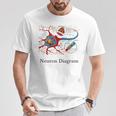 Diagrama De Neuronas Etiquetado Con Células Nerviosas Camiseta unisex Regalos divertidos