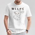 知らんけど かわいい ねこ イラスト おもしろ Tシャツ 面白い贈り物
