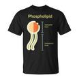 リン脂質 Tシャツ