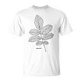 ウォールナットツリーリーフヴィンテージ植物学tシャツtシャツ Tシャツ