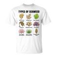 海藻の種類、海藻種チャート、海藻の種類 Tシャツ