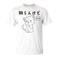 知らんけど かわいい ねこ イラスト おもしろ Tシャツ