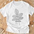 ウォールナットツリーリーフヴィンテージ植物学tシャツtシャツ Tシャツ 高齢者への贈り物